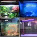 72CM 11 1W IP68 Waterproof 42PCS LED Aquarium Light RGB Remote LED Fish Tank Light Submersible 72CM 11 1W IP68 Waterproof 42PCS LED Aquarium Light RGB Remote LED Fish Tank Light Submersible