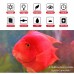 38cm bluetooth APP RGB LED Aquarium Fish Tank Lights Submersible Strip Bar Lamp 38cm bluetooth APP RGB LED Aquarium Fish Tank Lights Submersible Strip Bar Lamp